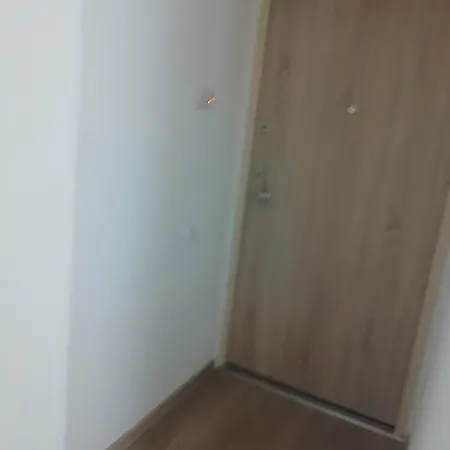 Dvieju Kambariu Butas Apartment