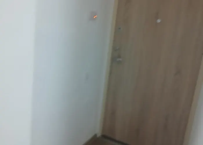 Dvieju Kambariu Butas Apartamento