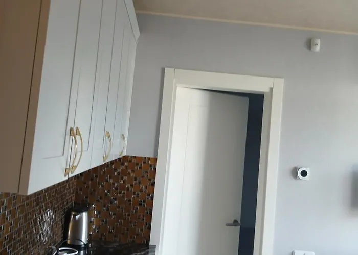 Dvieju Kambariu Butas Apartamento